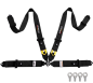Preview: 4 point harness with quick release buckle