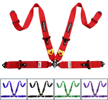 4 point harness with quick release buckle