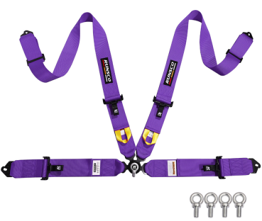 4 point harness with quick release buckle